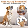 Denwwico Dog Muzzle, Breathable Adjustable Soft Mesh Muzzle for Small