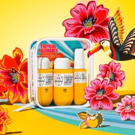 Set de regalo de viaje Hair Repair Trio Sol De Jane                                                                                                   