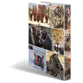 HERMA Ring Binder A4 Lion Slim 2 Rings 35mm Wide Kids Ring Binder with Animal Motif Colourful Folder with Inner Print for Boys and Girls