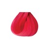 Kiss Tintation Semi-Permanent Hair Color 5 Ounce, T740 Rose Gold