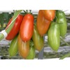 SAFLAX - Tomato - San Marzano - 10 Seeds -