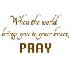 VWAQ When The World Brings You to Your Knees Pray