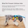 Blind Dog Harness Vest Collar Guide for Dogs Cataracts Eye