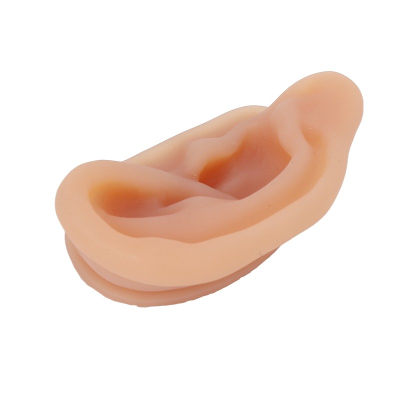 Silicone Ear Model Simulated Ear Model Acupuncture Practice Tool with