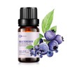 AOPING Blueberry Essential Oil - 100% Pure Organic Natural Plant