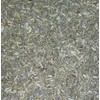 Organic Wormwood (Artemisia Absinthium) Dried Herb (50g)