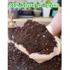 TOYPOPOR Potting Soil for All Indoor Houseplants, Contains Perlite, Peat