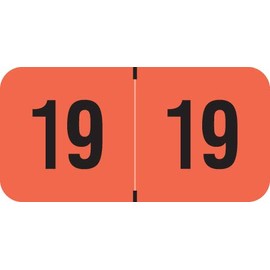 2019 Year Labels, Doctor Stuff File Folder Stickers, PMA Compatible Series, Fluorescent Red, 500/Roll, 1 Roll, 3/4" x 1-1/2"