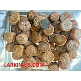 KOGANE 1 LB 100% Japan Hokkaido Dried Scallops EXTRA LARGE Size / - 1 PACK