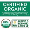 FGO Organic Turmeric Ginger Tea - Eco-Conscious Tea Bags -