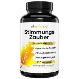 120 St. John's Wort Capsules with 1000 mg St. John's Wort Extract + GABA + L-Tryptophan - Vegetable Mood Brightener High Dose - Mood Magic