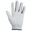 SEIKOU(セイコウ) gGolf gグローブ 左手用 GG-01 ホワイト L
