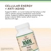 Capsules Nicotinamide Mononucleotide Supplement NAD Plus Support Cellular Energy Healthy