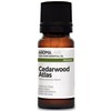 BIO - Cedarwood Atlas Essential Oil - 10mL - 100%