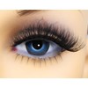 Fashion Eyelashes, Ultra Fine, Ultra Soft, Low-Carbon False Lashes, 7