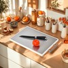 Rashid & Sid Rashid & Sid Stainless Steel cutting board,