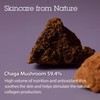 BLITHE BLITHE Pressed Serum Chaga Mushroom - Advanced Skin Tightening