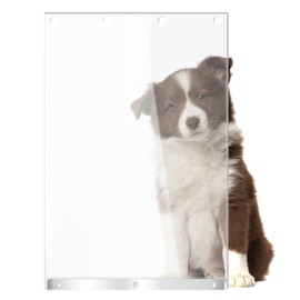 Transparent Dog Door Replacement Flaps 9.75" x 17", Pet Door Replacement Flap Fit Dogs up to 65 lbs, Doggie Door Replacement Flap Compatible with Ideal Products Designer Series DSRWXL, DSARWXL