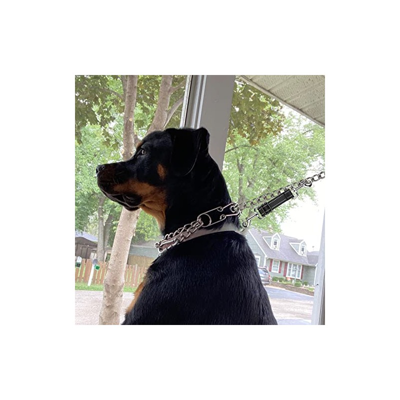 YUEPET Clips de seguridad para perro, paquete de 5 clips