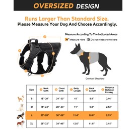 Reflective Service Dog in Training Vest Harness Leash Set for Medium Large Dogs, Adjustable Heavy Duty Black Padded Dog Harness, with Front Clip and Metal Buckles Do Not Pet for Training, Hiking