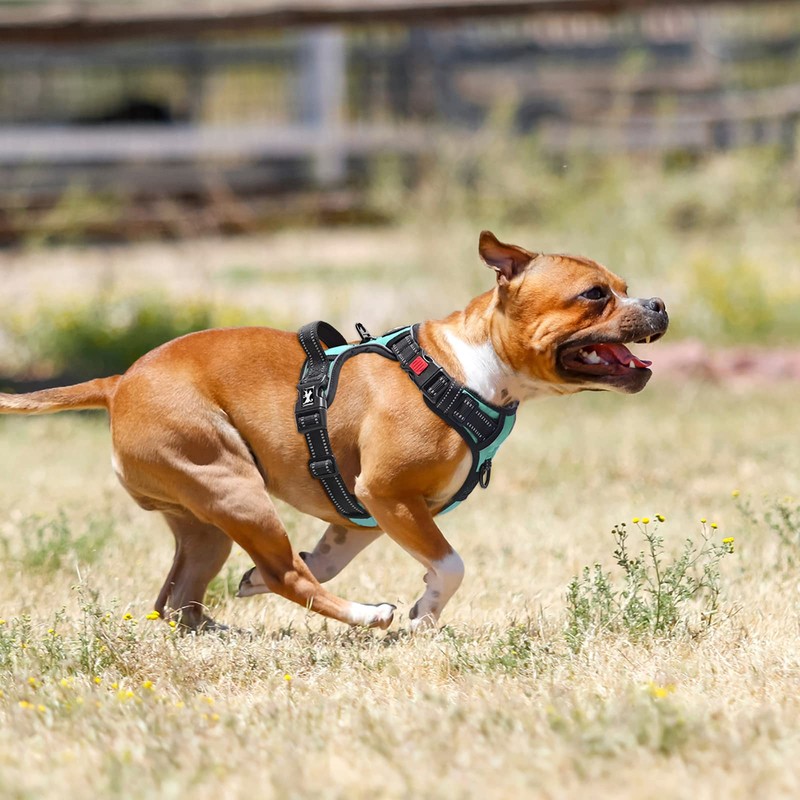 PoyPet No Pull Dog Harness with Neck Release Buckle, Reflective