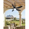 46" Outdoor Ceiling Fan with Lights,Plug in Hanging,IP65 Waterproof(Black)