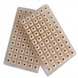 Ihyeokgiseok ear massage diet ear acupressure patch sticker therapy 4ea