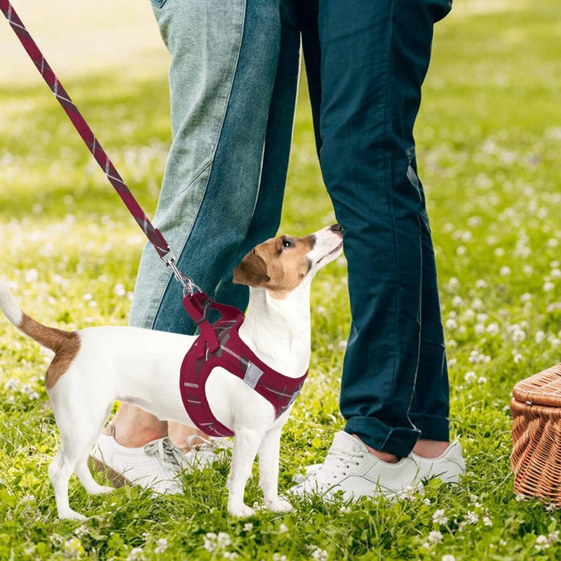 PUPTECK Adjustable Dog Harness Collar and Leash Set Step in