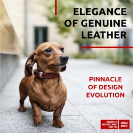 WAUDOG Long Lasting Leather Dog Collar for Large Dogs, Medium & Small Dogs - Adjustable Classic Puppy Collars for Large Breed Dogs - Boy & Girl Dog Collars with Durable Buckle, D-Ring & QR Dog Tag