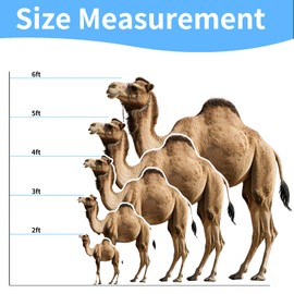 DP BOUTIQUE Nativity Camel 4FT Life Size Cardboard Cutout, Christmas Nativity Scene Decoration, Safari Theme Standup, Animal Photo Prop for Xmas, Holy Family Christian Party & VBS Supplies, 1 PC
