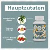 Ginkgo Plus - 60 Capsules Complex with Ginkgo, Guarana, Kola