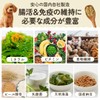 ワンちゃんの腸活＆免疫ケア！マリウェル【海藻・納豆・乳酸菌・ビール酵母配合】正規品｜皮膚・毛並み・高齢犬サポート【犬用サプリ】Mariwell 腸内フローラを整え便秘にも アスコフィラムノドサム