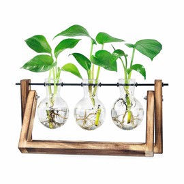 The Trio - 3 Bud Vase Propagation Station - Elegant Desktop Plan Growing and Nurturing Vases for Home or Office