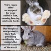 SunGrow Rabbit Grass Mat, Bunny Cage Accessories, Rabbit Stuff and