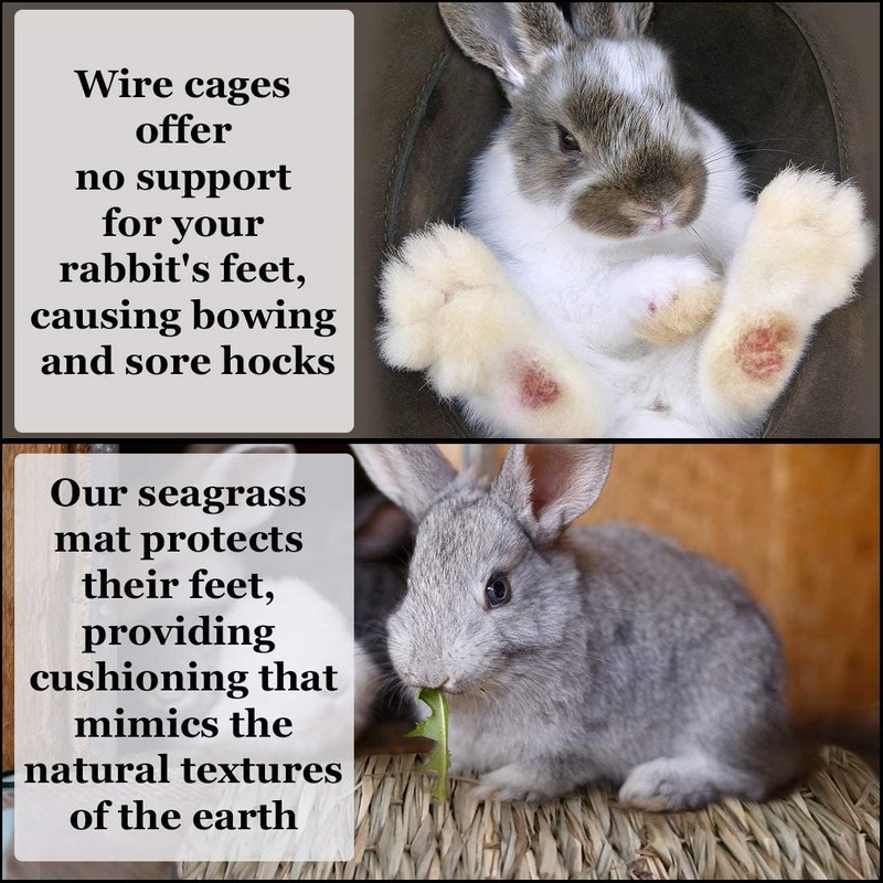 SunGrow Rabbit Grass Mat, Bunny Cage Accessories, Rabbit Stuff and
