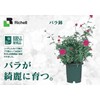 Richell Rose Pot, No. 8, Dark Green