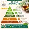 Organic Tea Pods with Ginger, Peppermint, Fennel, Licorice, & Rosehip