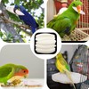 12 Pieces Cuttlefish Bone for Birds and Tortoises, Cuttlebone for