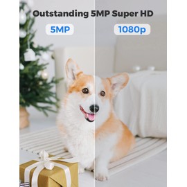 Reolink 5MP Wireless Security Camera Indoor PTZ, Pan Tilt 3X Optical Zoom 2.4/5GHz Dual-Band WiFi, Motion Tracking, Smart Person/Pet Detection CCTV IP Camera for The Baby, Elder, Pet | E1 Zoom