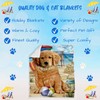 Doggie of the Day Golden Retriever Dogs - Pet Friendly