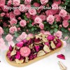 SCENTORINI Potpourri Bags, Potpourri Vase Filler, 10.44 oz Rose Scented