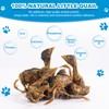Freeze Dried Little Quail - Single Ingredient Cat and Dog
