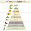 XEPTLE Reed Diffuser Set, 7.04 oz Oud & Bergamot Scent
