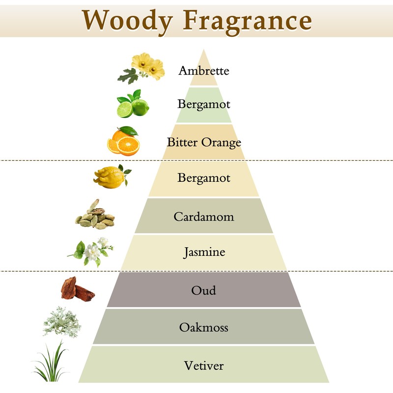 XEPTLE Reed Diffuser Set, 7.04 oz Oud & Bergamot Scent