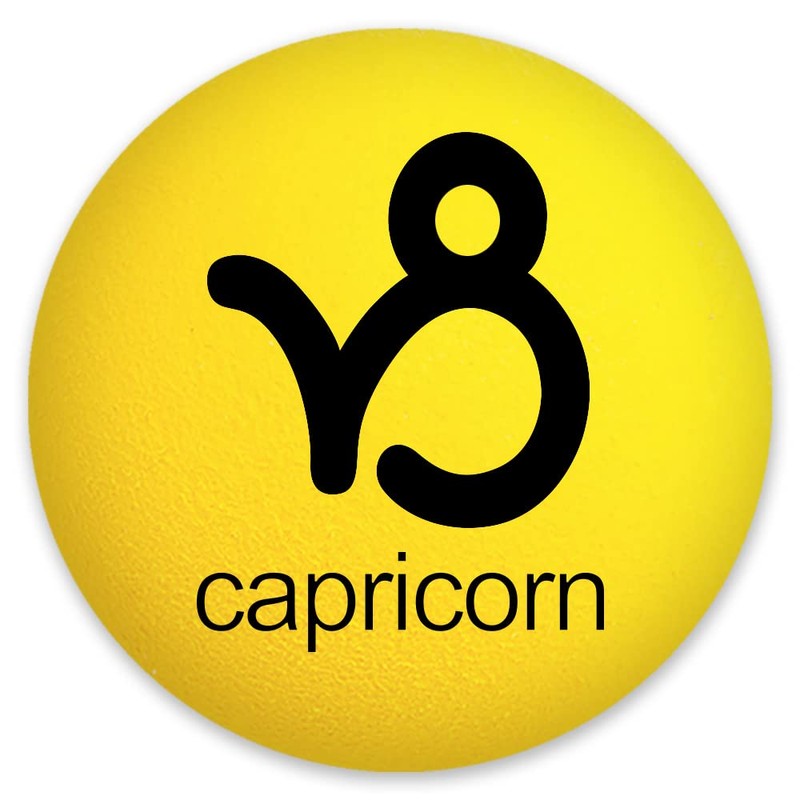 HappyBalls Capricorn Zodiac Birth Sign Car Rear-View Mirror Hanger Auto
