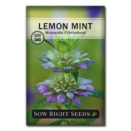 Sow Right Seeds - Lemon Mint Seed for Planting - Non-GMO Heirloom with Packet with Instructions to Plant and Grow an Herbal Tea Garden - Indoors or Outdoor - Monarda to Attract Pollinators (1)