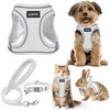 GAMUDA Small Pet Harness Collar and Leash Set, Step in