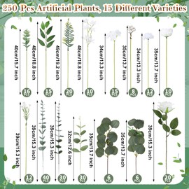 Thiccywoov 250 Pcs Artificial Eucalyptus Leaves Stem Bulk Fake Greenery Faux UV Resistant Sprays Silver Dollar Eucalyptus for DIY Wedding Bouquet Vase Floral Arrangement Decor(White, Green,15 Kinds)