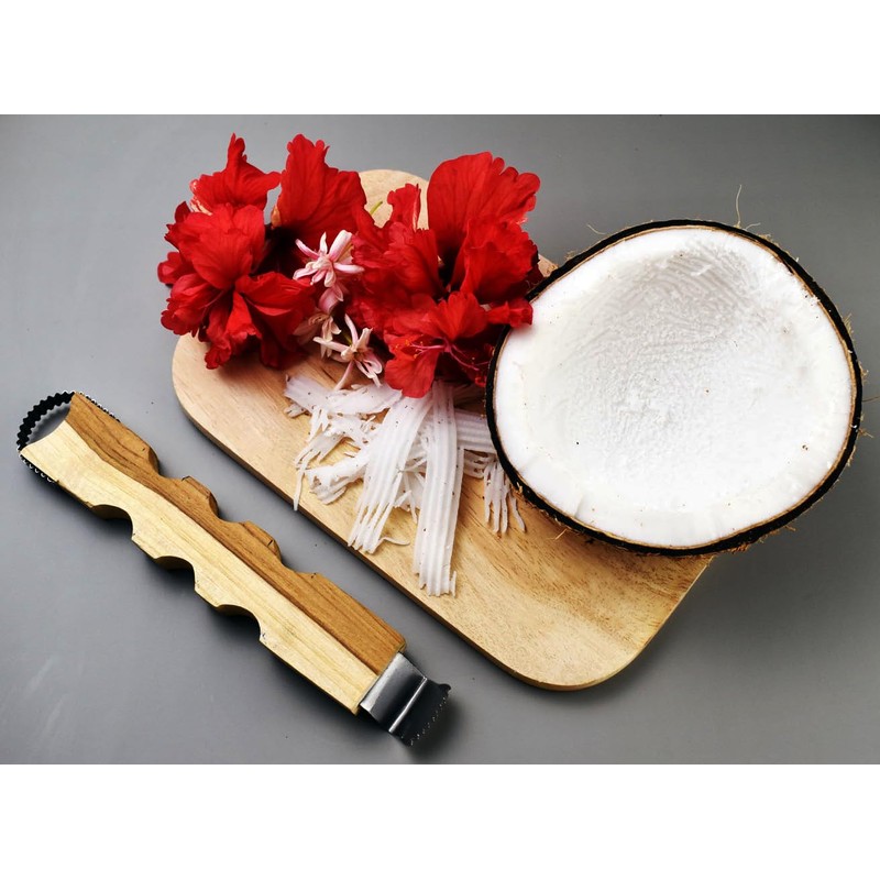 XL Size Wooden Handle Coconut Grater - Durable Sharp Stainless