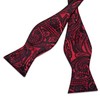 DiBanGu Silk Bow Ties for Men Striped Solid Paisley Self